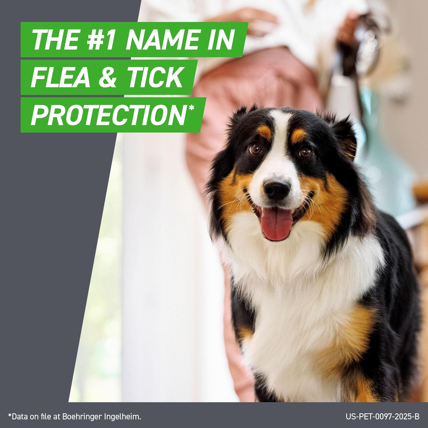 Frontline Plus for Dogs Flea Treatment - Medium Dog (23-44 pounds) - 6 Doses