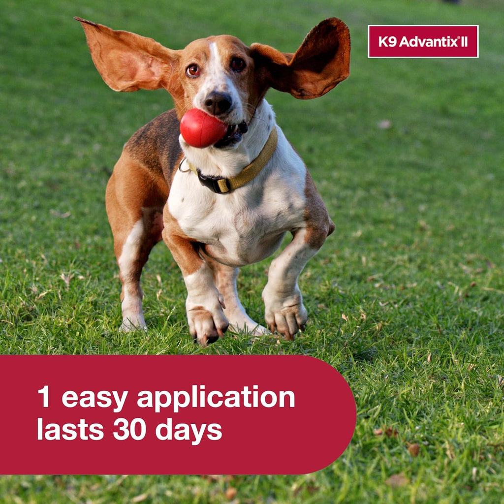 K9 Advantix II Medium Dog Flea Treatment & Prevention | Vet-Recommended for Dogs 11-20 lbs | 6-Mo Supply